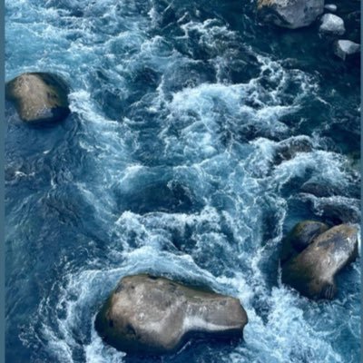 متلازمة كب السوالف واستمرارية التغريد أعتِبر حسابيّ مكاني المعزول لذلك مايهمني كيف تقرأ وتفهم .