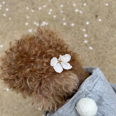 78water's profile picture. 금댕이