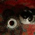 ُ (@aljawharhij) Twitter profile photo ُ (@aljawharhij) Twitter profile photo