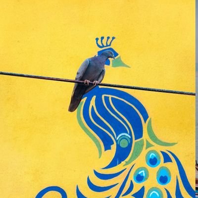 itsjayrajsinh's profile picture. Indian