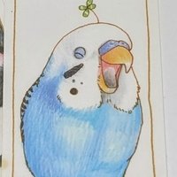 黒曜@読書垢 (@jk339kpr7iymsb7) 's Twitter Profile