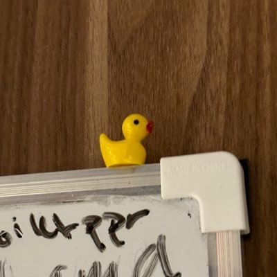 reirei1110010's profile picture. CPP'25 | CS @UWaterloo