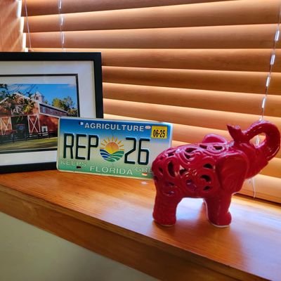State Representative District 26
Proudly serving Lake County