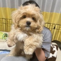 みた@読書垢 (@mita_library) 's Twitter Profile