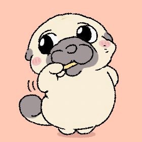@pug_no_mottan