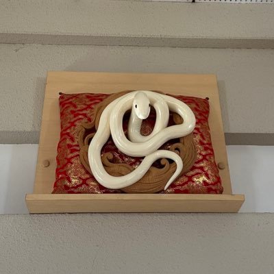 manu_ru2021's profile picture. 掃除屋です！