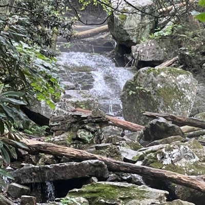 Wife. Mother. Outdoor enthusiast. Teacher. Counselor. Patriot. Follower of Jesus. Writer. Photographer. Hiker. Swimmer. Kayaker. Musician. Love reading.