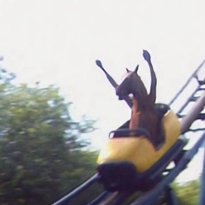 AlmondMaddison's profile picture. 