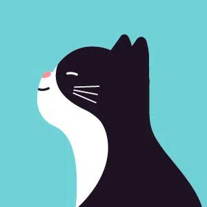 collemi358's profile picture. ファッションが好き