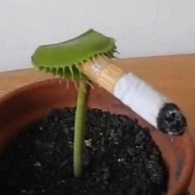 JibaNsfw's profile picture. No me hago responsable de quien siga esta cuenta, es uso personal.