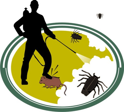 Infinitepests's profile picture. We are a family own Pest Management Company who puts our customers problems first , as we use our 15years experience to solve any pest problem.