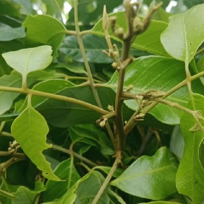 KtamC9370's profile picture. 