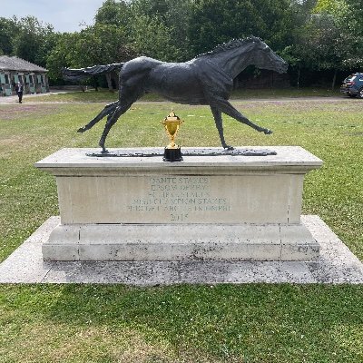 Dash Grange Stud Profile