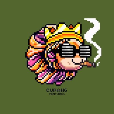 barbaraadiniz's profile picture. Maxwin Airdrop