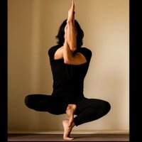 Eternal Echo (@cosmicspek) 's Twitter Profile