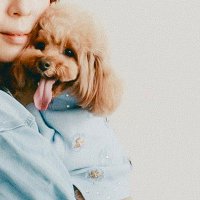YUZU mama (@yuzumam2018430) 's Twitter Profile