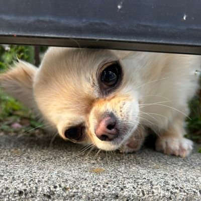 hzellnudee's profile picture. here's to hoping it's not as bad