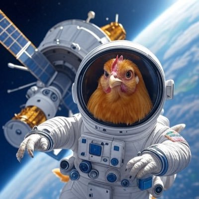 theSpaceChicken's profile picture. 