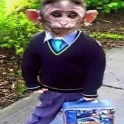 monkeytamer420's profile picture. Christ is King and i love monkeys