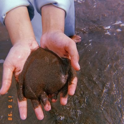 febrianty_79667's profile picture. 