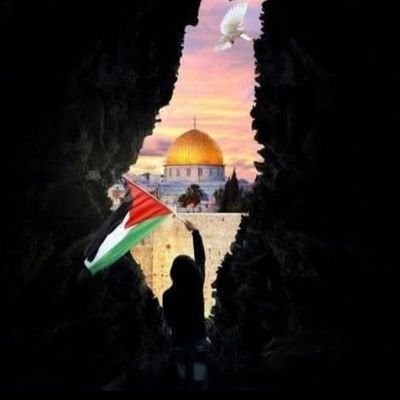 Ibrahemmoh411's profile picture. 