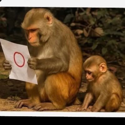 El que venga hablarte de diálogo, perdón y elecciones es un traidor!!!