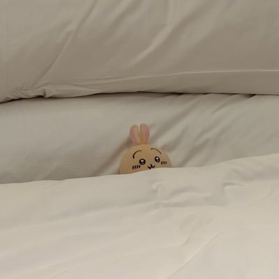 YyKwc's profile picture. 很宅 长相普通身材普通性格普通