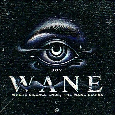 Vision through sound. The Wane | The Seer . The Observer👁️🩶