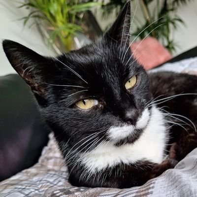 wenvs1974's profile picture. 