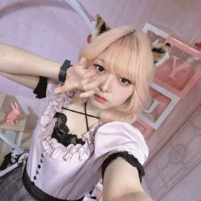 Myua_Adlove's profile picture. アニマル×メイドコンセプトカフェ@Adlove_Cafe で待ってます💗夜虎 桜優亜(やとら みゅあ)です🐯🌸🔰
