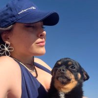 Şiir için şiir (@siiricl) 's Twitter Profile Photo