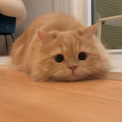 chuenchuji21114's profile picture. 