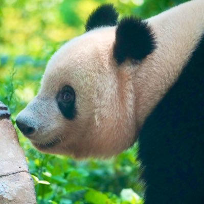 miwa_miwa77miwa's profile picture. 