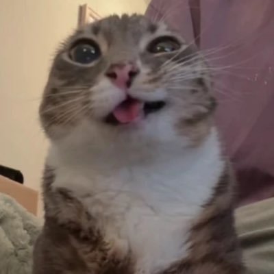 Lgndary_RL's profile picture. 22 yrs 🇲🇽 Vive una vida que siempre quieras recordar.