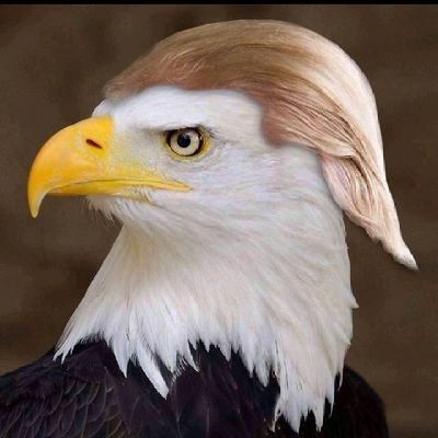 starting a movement to unite We The People. We are under attack in the land of the free and need to come together