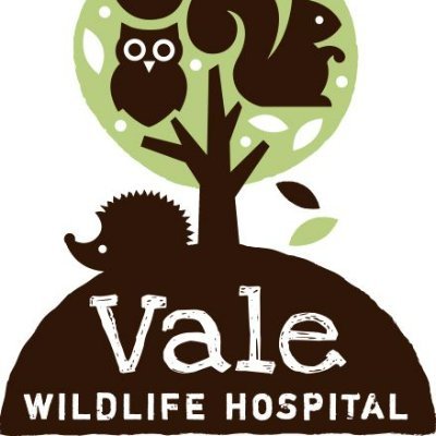 Vale Wildlife Hospital, set up in 1984 by Caroline Gould MBE, is one of the UK's busiest rehabilitation centres, treating over 8,000 casualties each year.