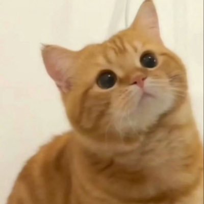 spare acc mn౨ৎ แอคสำรองของ mn౨ৎ ( Rarely active ) ❌ ไม่ต้องฟอลกลับน้า ฟอล @tnyminnxx ได้เลยค่ะ