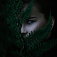 tavadankayanyildiz (@bigaripagcu) 's Twitter Profile