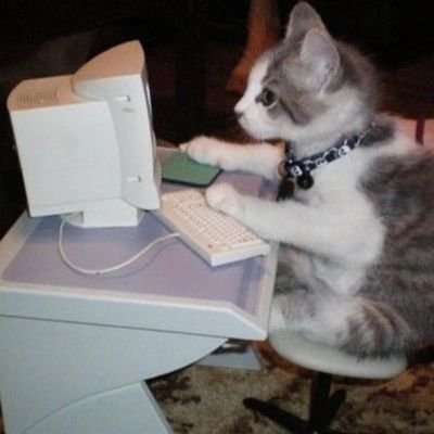 Meowsint Profile