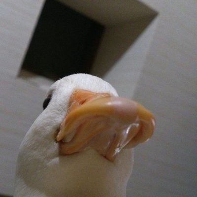 cien★さんのプロフィール画像
