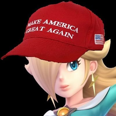 Patriot, #MAGA ✊🏻, ✝️, #1 Rosalina fan
