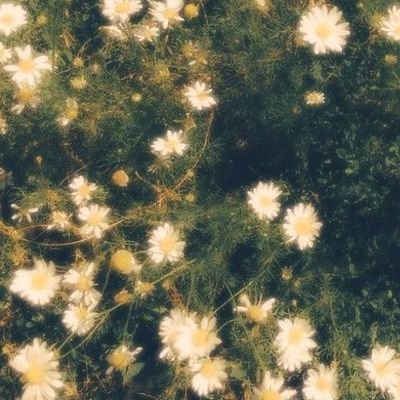 RachaelzGame's profile picture. Hello.
https://t.co/tRzoQIj0TM…
https://t.co/V7PoXcdXwm