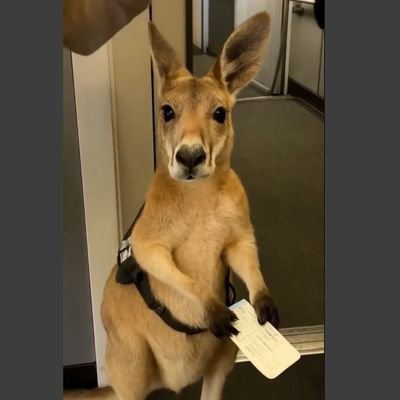 algoritmicavida's profile picture. Escenas de la vida cotidiana en época de plataformas. Proyecto de Tesis.

Aportes y créditos al md