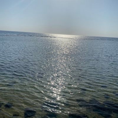 mohdalmohib1's profile picture. لا تثق إلا بالله فقط لاغير . أحب السعودية  وأكره الحمقى.