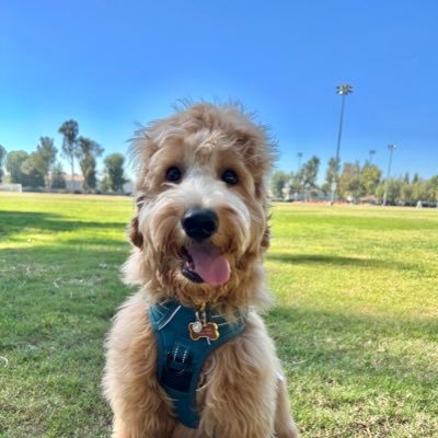 RobertL40744449's profile picture. Long-term passive investor. Natural world enthusiast