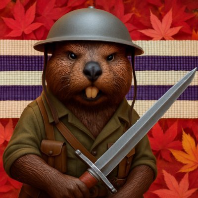 I come here to troll fascists & Maple MAGA Traitors.
Canadian warship/RCN profanity.
We are all treaty people and Canada is inviolate .