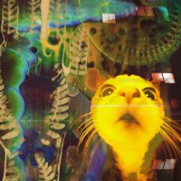 Zooe (2/11) (@zo03ee) Twitter profile photo