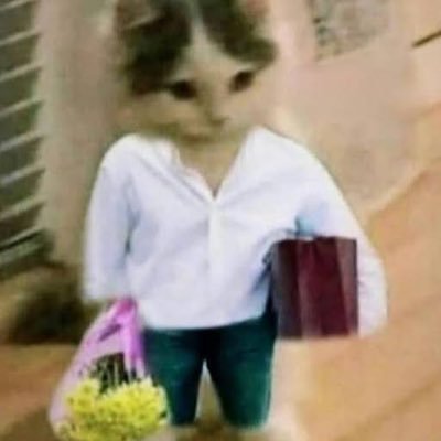 DegilReidx's profile picture. hello world burjuva isidir biz esselamu aleykum dunya deriz