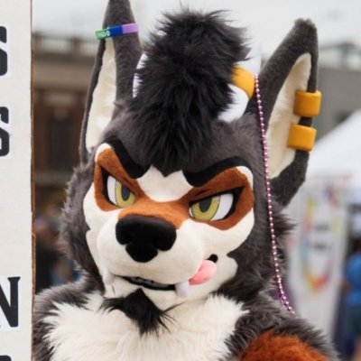 Wolfdragon, age 31, ENTJ, @kigurumikagetsu fursuiter. I push buttons at @Furrydelphia and sell coffee at @RockysRoastery