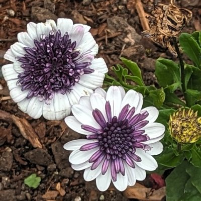 Ma6046E's profile picture. 